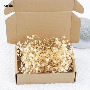 ดอกยิปโซฟิล่าแห้งธรรมชาติ 50 ชิ้น ช่อดอกไม้แห้ง ติดทนนาน เหมาะสำหรับงานแต่งงาน ตกแต่งบ้าน ของขวัญ