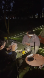 Outdoor camping light Solar LED 10m light tent light Waterproof Recyclable string lights outdoor decorative light