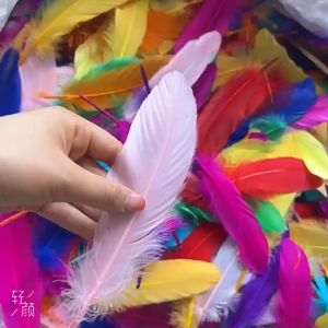 (5 cái) Lông vũ 140-200mm nhiều màu sắc nguyên liệu dùng để trang trí làm đồ thủ công.. Nguyên liệu DIY