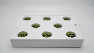 Premium Quality Hydroponic Grow Box | High Yield Faster Growth | Indoor Smart Garden Kit