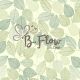 B.Flow