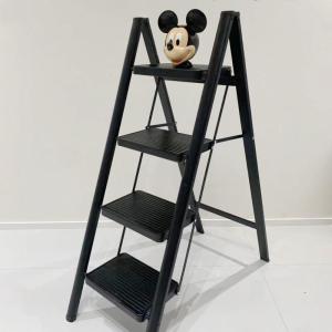 MOLORE | Foldable & Telescopic Sturdy Home Ladder Indoor Use