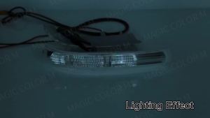 2 Chiếc ĐÈN LED Bên Nhan Đèn Báo Tín Hiệu Cho Xe Chevrolet Captiva 2007-2017 ABS Chống Thấm Nước + ĐÈN LED Chiếu Hậu Repeater Đèn Cảnh Báo Xe Ô Tô Phụ Kiện