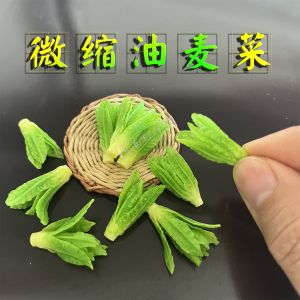 Mô Hình Rau Dầu Mô Phỏng Thủ Công Miniature BJD Scenе Props Nhà Búp Bê Nhà Bếp Thiết Kế Sáng Tạo Vật Liệu Đất Sét