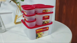 ☀️Life Core☀️ 10pcs Airtight Stackable Tupperware Food Storage Container with Lid Microwave Safe Freezer Container Kitchen Fridge Organizer
