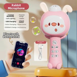 LELEMAO | Educational Bluetooth Music Toy for Toddlers