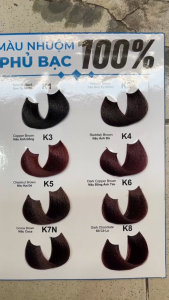 KEM NHUỘM PHỦ BẠC TÓC TẠI NHÀ 3 In1 KATAA 60ml Kèm Oxy