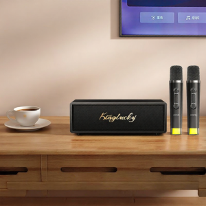 kinyo | Home Use Smart Karaoke System with Wireless Microphone