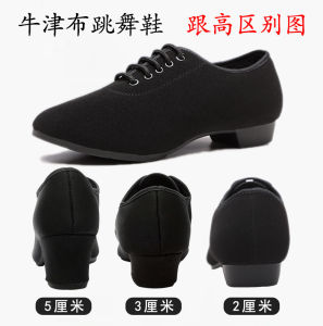 Low Heel Latin Dance Shoes Womens Soft Bottom Modern Dance Shape Fitness Yoga Practice Shoes Square Dancing Shoes Teacher