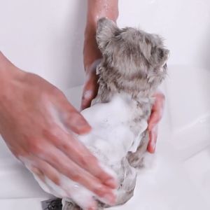 Sữa tắm cho mèo cao cấp HYPONIC Hypoallergenic mùi thơm tinh tế từ thiên nhiên