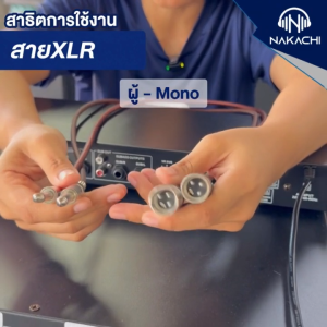 Nakachi สายสัญญาณเสียง สายxlr สายไมค์ สายไมโครโฟน มีให้เลือก 3 แบบ XLR Male(ผู้) XLR Female(เมีย) สายสัญญาณ(โมโน) ทองเเดงเเท้ 100% มอก.เสียง นำเสียงได้ดีเยี่ยม (1 เส้น)