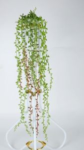 DAUN RAMBAT JUNTAI MELINJO ARTIFICIAL STRING OF PEARL BERCABANG TANAMAN PALSU SINTETIS DAUN SUKULEN KUACI GANTUNG JUNTAI AIR MATA KEKASIH TEAR OF LOVE POT BUNGA PREMIUM UNTUK DEKORASI PESTA DIY POJOK RUANGAN DINDING RUMAH HIAS INDOOR DAN DECOR PERNIKAHAN