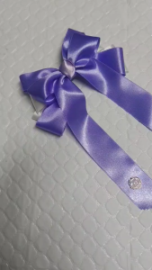 เน็ตผม เน็ตผมโบว์ โบว์ติดผม (กิ๊บสปริง) พร้อมเน็ตผม ริบบิ้นผ้าใหมซาติน งานDIY พร้อมส่ง