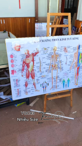 Tranh phòng khám y khoa Tranh Y khoa hệ cơ xương thần kinh tủy sống tráng gương treo tường YQC43