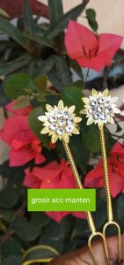 Mentul mentari kecil