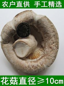 Mushroom More than 10cm Special Local Farm Products Cut Feet Non-Basswood Floor Tianbai Dried Mushroom Mushroom Mushroom Mushroom