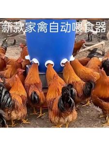 Thickened Automatic Feeder New Type Lazy Feeding Bucket for Poultry Chicken Feeder Self-Feeder for Ducks And Geese