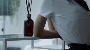 Hetras ก้านไม้หอม Reed Diffuse ก้านไม้หอมปรับอากาศ ยอดฮิตจากเกาหลี 500 ml. ซื้อ2ชิ้นฟรี Gift Box