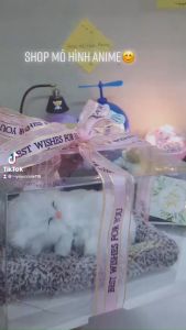 Hộp Quà Tặng Thú Cưng Trong Suốt Đầy Đủ Phụ Kiện Đèn Led Thiệp Túi Đựng Quà Tặng Sinh Nhật Người Thân