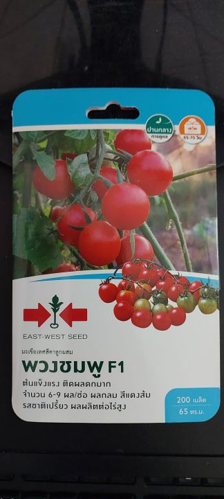 เมล็ดพันธุ์มะเขือเทศสีดา พวงชมพู F1 ตราศรแดง