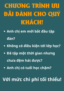 Phím đàn guitar size 1mm 1 cái guitar pick Meideal màu ngẫu nhiên mẫu giọt nước dễ cầm Sale rẻ dưới 49k - Duy Guitar Store