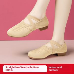 Dancing Shoes Female Soft Bottom Teacher Practice Shoes Adult Professional Ballet Flyknit No-Tie Outdoor Dancing Shoes