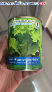 ผักกาดขาว ไดโตเกียวเบกานา 6803(100กรัม500กรัม)เพื่อนเกษตรกร