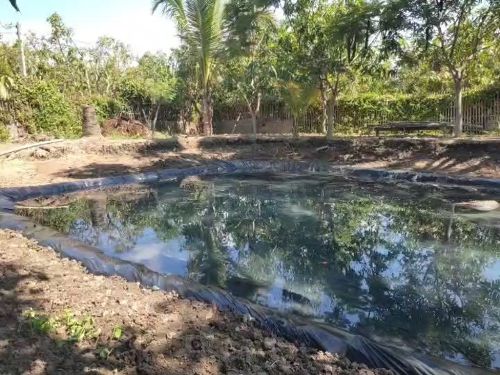 8 อันดับผ้ายางปูบ่อและพลาสติกโรงเรือน ยี่ห้อไหนดี ทนทาน คุ้มค่า อัปเดตปี 2025