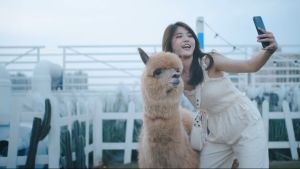 Gậy Chống Rung Cầm Tay Bluetooth Không Dây L02s Cho Điện Thoại Thông Minh Gậy Tự Sướng Chân Máy Có Đèn Giá Đỡ Điện Thoại Di Động IOS Android