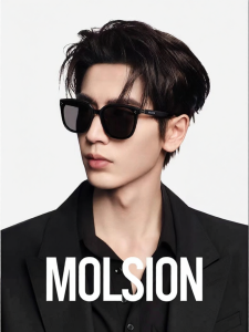 Molsion | Polarized UV Protection Sunglasses