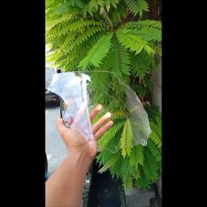 WINDSHIELD VISOR KAWASAKI NINJA RR OLL LAMA WINDSHIELD MODEL STANDAR BAHAN FULL AKRILIK HS55