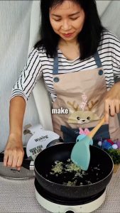 Wyking 20cm Induction Fry Pan