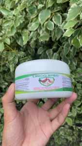 [HOT SALE] LINCO SPEC 100G Poultry Powder Supplement for Respiratory & Digestive Care sa Chickens & Other Poultry
