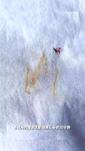 Nước Tẩy Vết Bẩn Quần Áo Không Cần Giặt HOOLANATE 200ml – Làm Sạch Nhanh Diệt Khuẩn Giữ Màu