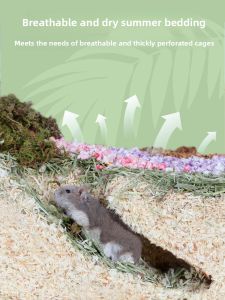 BUCATSTATE | Water Absorbent Summer Bedding for Dwarf Hamsters