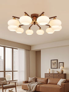 DGY | Retro Luxurious Warm Ambiance Living Room Chandelier