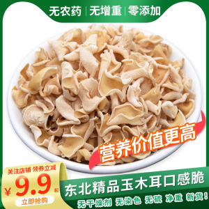 Premium Dried Jade Black Fungus 500g Non-Wild Edible Mountain Speciality from Changbai Mountain Home Use Clean without Roots