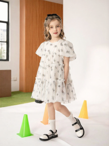 Summer Mesh Princess Dress
