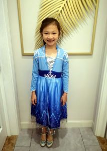 Frozen 2 Girl Kids Cosplay Princess Elsa Dress Princess Dress Dress Dress Performance Skirt