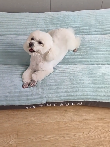 ที่นอนสำหรับสุนัขแมวและสุนัขเตียงสัตว์เลี้ยงที่นอนสัตว์เลี้ยง แผ่นนอนสุนัขหนาพิเศษถอดซักได้พร้อมหมอนทำความสะอาดง่าย