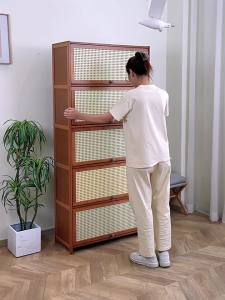 Tủ Giày Gỗ Đơn Giản Tiết Kiệm Không Gian Dung Lượng Lớn
