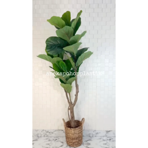Pohon Imitasi Tanaman Hias Daun Ketapang X3 T150 Latex Artificial Cover Eceng Gondok Handle Hiasan Dekorasi Rumah Cafe Aesthetic