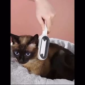 Sikat Kucing Sikat Bulu Kucing Cat Brush Cat Comb For Cat Dog Comb Pet Comb Cat Comb Grooming Berus Kucing Berus Cat eshedding Shedding Dematting Comb Slicker Brush Shedding Brush Automatic at Grooming Hair Removal Comb Sisir Bulu Sikat KucingPet Brush