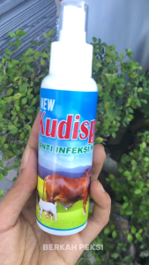 SPRAY ANTI INFEKSI KULIT UNTUK SAPI KERBAU KUDA KAMBING DLL MENGOBATI PENYAKIT KULIT