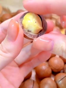 Roasted macadamia nuts macadamia nuts ready to eat canned 1kg