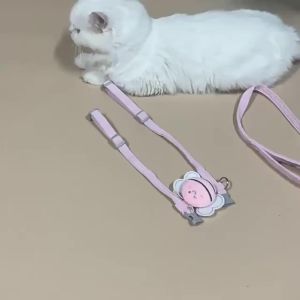 Cat Harness Leash Collar Set Adjustable Cartoon Bee Double Layer Dog Harness for Small Medium Pet Collar Leash Outdoor Walking