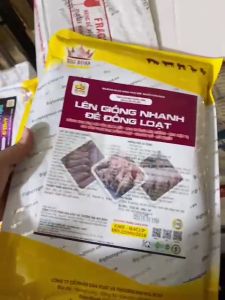 Lên Giống Nhanh Đẻ Đồng Loạt Cho Heo Nái Vừa Tách Đàn Heo Không Lên Giống Nhanh Đẻ Tăng Tỷ Lệ Đậu Thai (Hàng Chuẩn Cty)