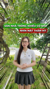 Combo 1Kg Hạt Giống Cỏ Lá Gừng Lawn - Cỏ Lá Tre Dễ Trồng Chống Xói Mòn Giá Thành Tốt