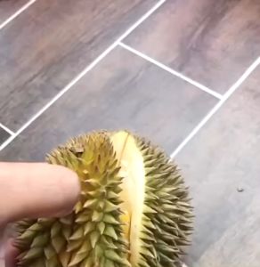 PISAU DURIAN / DURIAN KNIFE / KITCHEN KNIFE 4inch Durian Knife Stainless Steel Japan Golden Fish Fruits Cut Kitchen Knife Pisau Dapur Pemotong Buah Buahan Sayur 榴莲刀