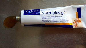 Gel bổ sung dinh dưỡng Nutri-plus Virbac exp 5/2027 Tuýp 120.5g cho chó mèo